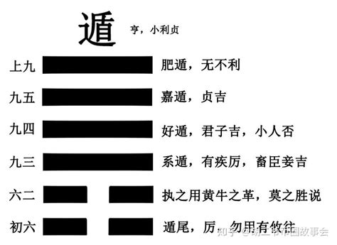 遯卦意思|贲卦